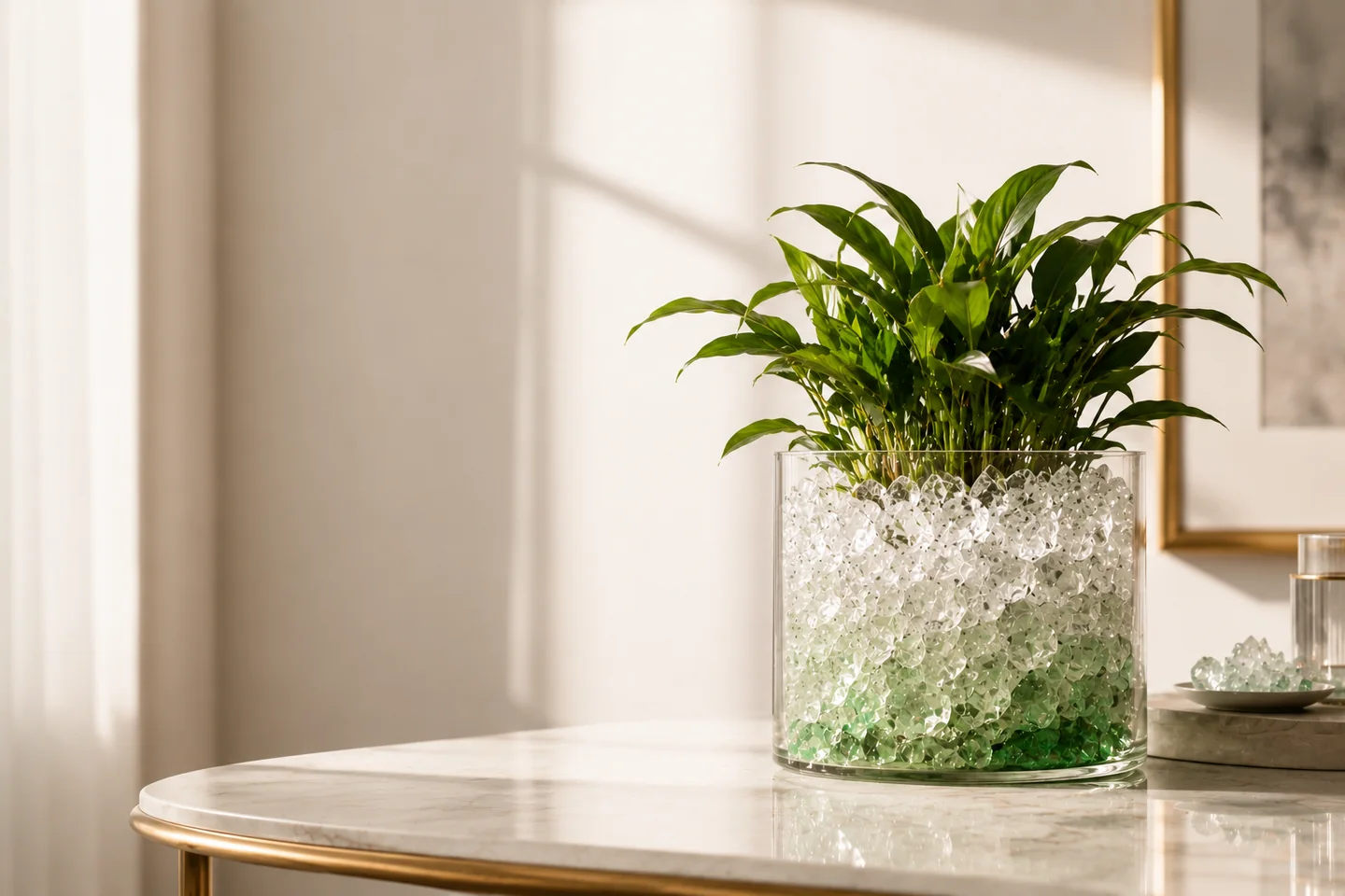 Plante verte dans un contenant de cristaux clairs et verts