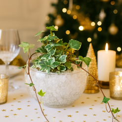 Centre de table doré de Noël avec lierre vert et grains décoratifs Cristal Deco